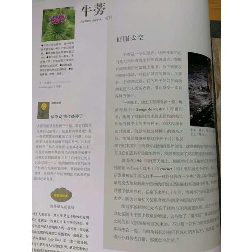 当自然赋予科技灵感