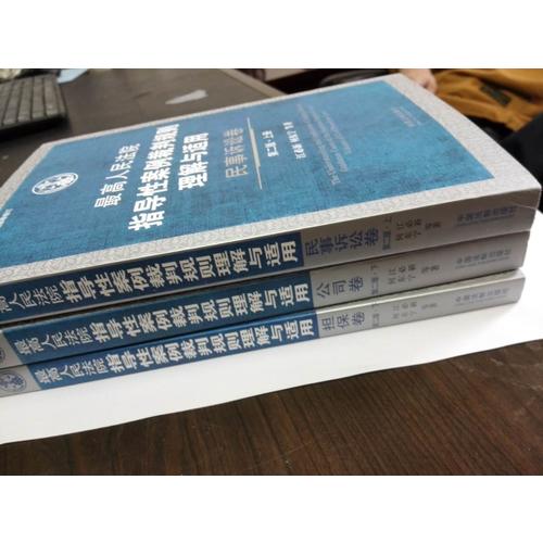 较高人民法院指导性案例裁判规则理解与适用：民事诉讼卷（上下册）（第2版）