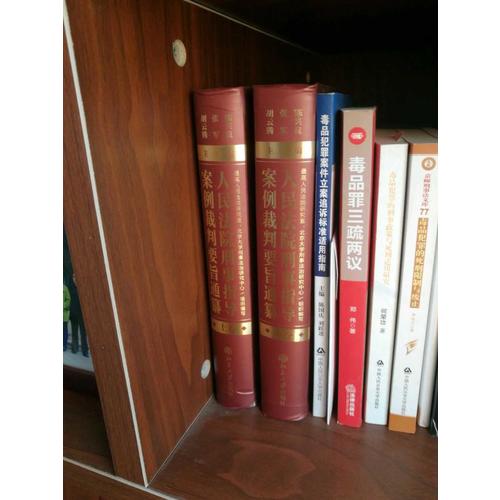 人民法院刑事指导案例裁判要旨通纂（上下卷）