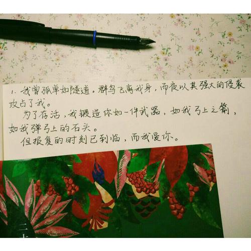 我坦言我曾历尽沧桑