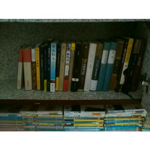 心安即是归处：苏轼传