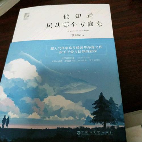 他知道风从哪个方向来