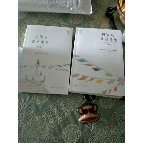 因为风就在那里（全两册）