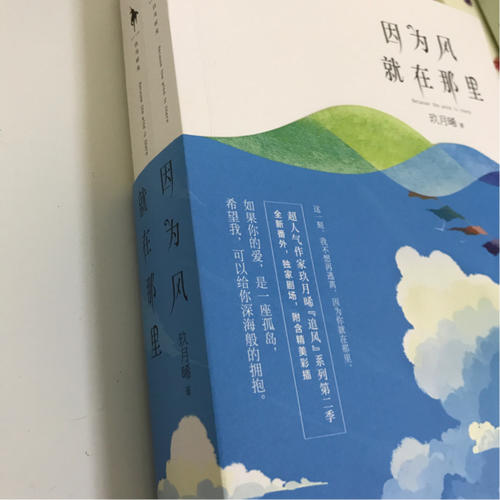 因为风就在那里（全两册）