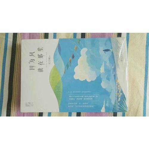 因为风就在那里（全两册）