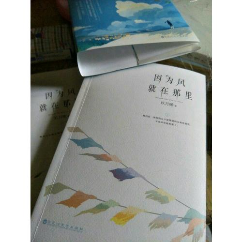 因为风就在那里（全两册）