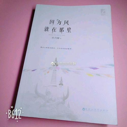 因为风就在那里（全两册）