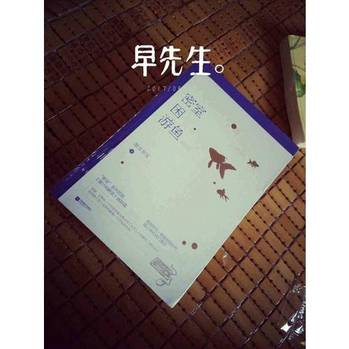 密室困游鱼