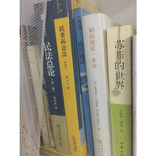 民事诉讼法（第四版）