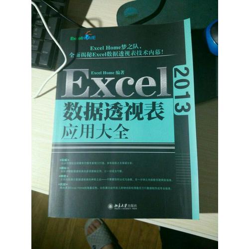 Excel 2013数据透视表应用大全