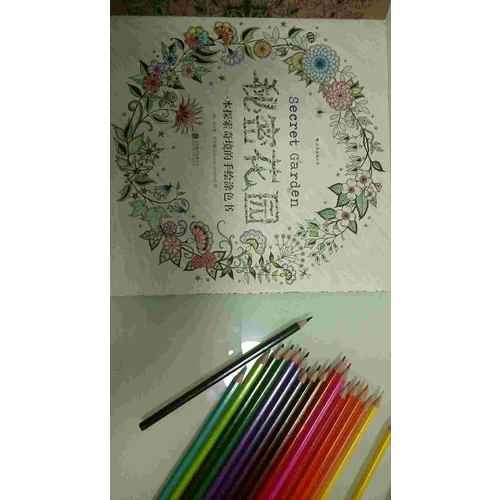 秘密花园+24色彩色铅笔套装