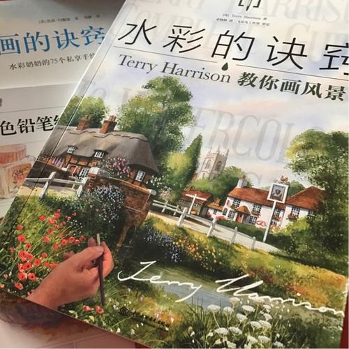 水彩的诀窍：Terry Harrison 教你画风景