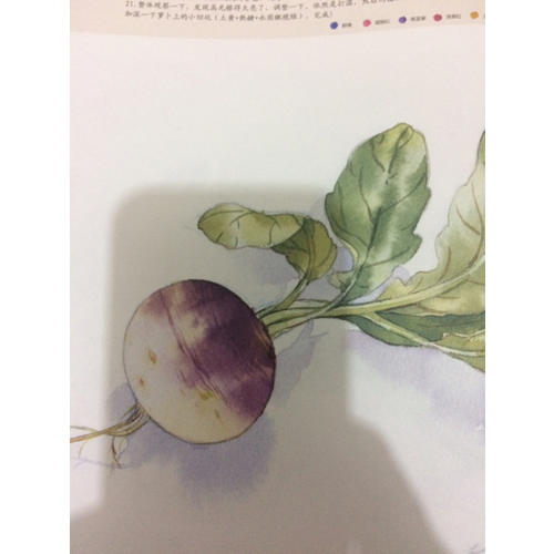 绘森活·水彩私享课