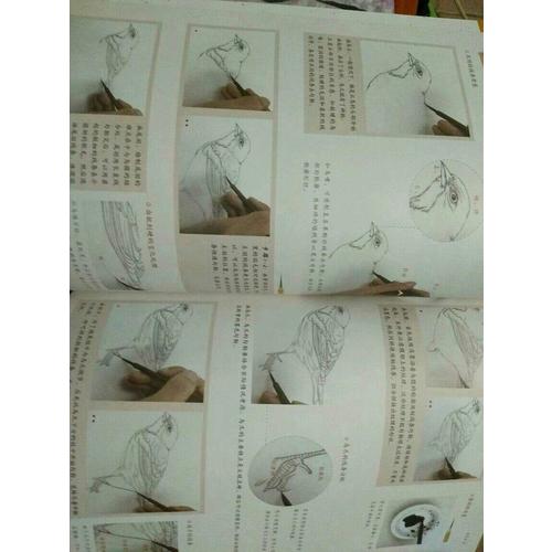 工笔画技法从入门到精通