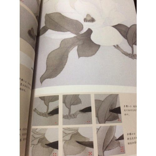 工笔画技法从入门到精通