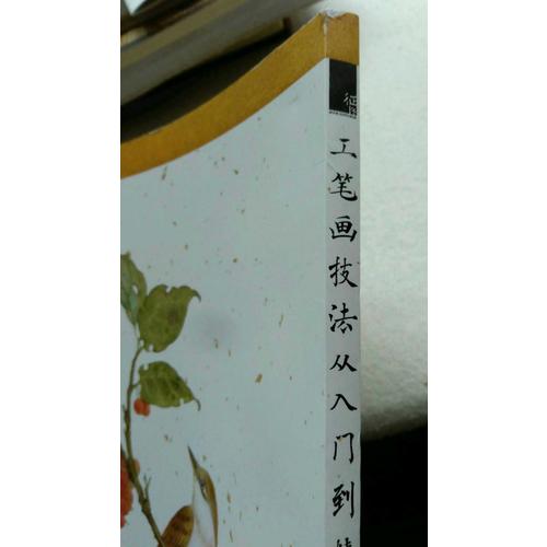 工笔画技法从入门到精通