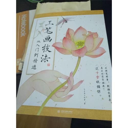 工笔画技法从入门到精通