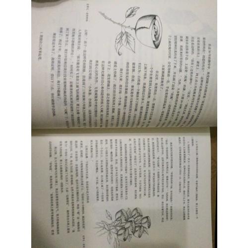 30天学会绘画(畅销版)