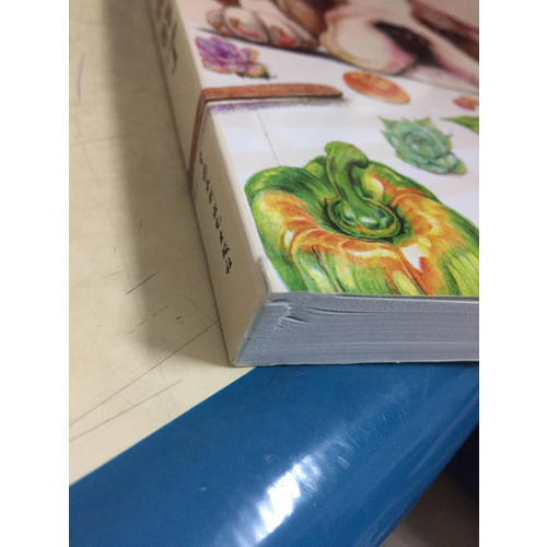 色铅笔绘画入门一本就够了