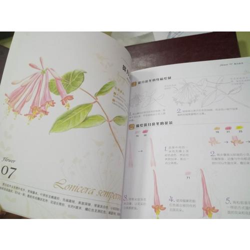 花之绘 38种花的色铅笔图绘