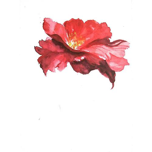 隐世之国  鹿菏水彩私享绘