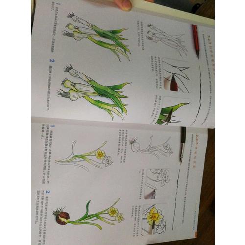 水彩画入门,一本就够了