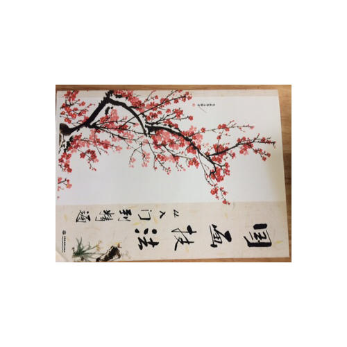 国画技法从入门到精通