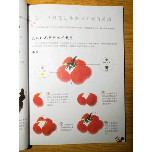 国画技法从入门到精通