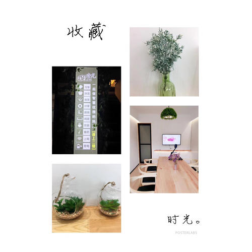 学国画 中国画技法普及教材(一)：花鸟集