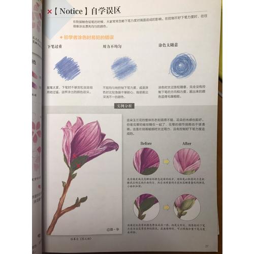 色铅笔自学圣经