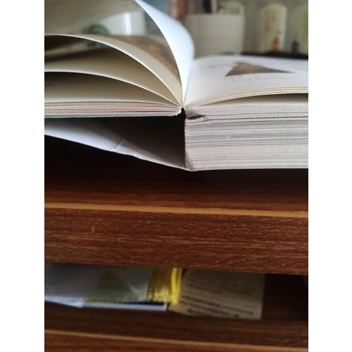 写给大家的西方美术史·蒋勋