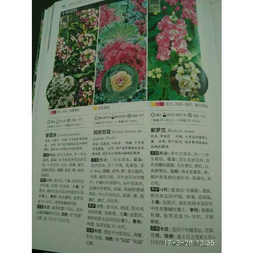 花草树木图鉴大全（修订典藏版）