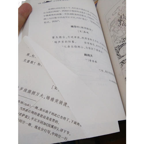 诗词格律