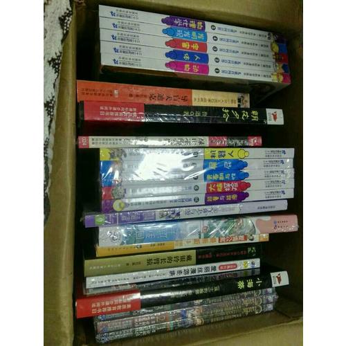 意林：小小姐冒险励志系列16--花与守梦人③王陵的秘密（升级版）