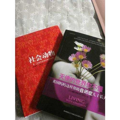 天使的世界你不懂·英国妈妈这样帮助自闭症儿子长大
