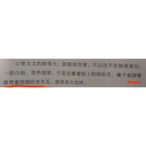 猫城记