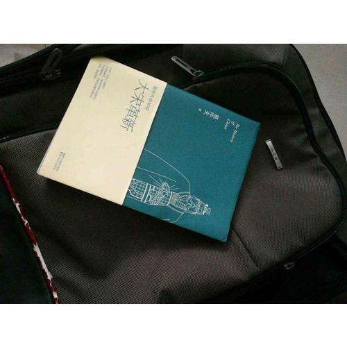 易中天中华史 第十七卷：大宋革新