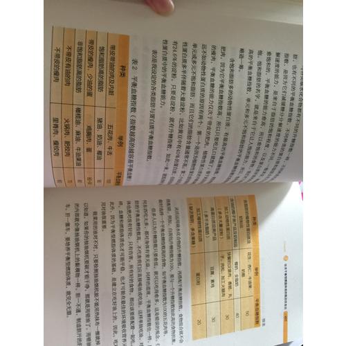 燃脂力：给你最核心的瘦身力