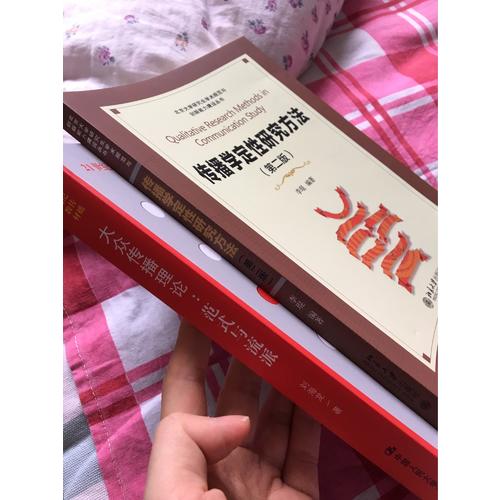 大众传播理论：范式与流派