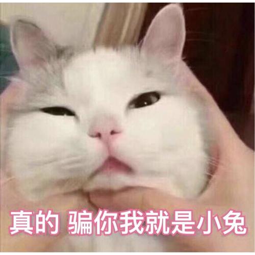 一个人的美食之旅