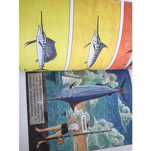海洋馆里看不到的：海洋动物世界