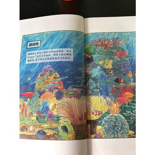 海洋馆里看不到的：海洋动物世界