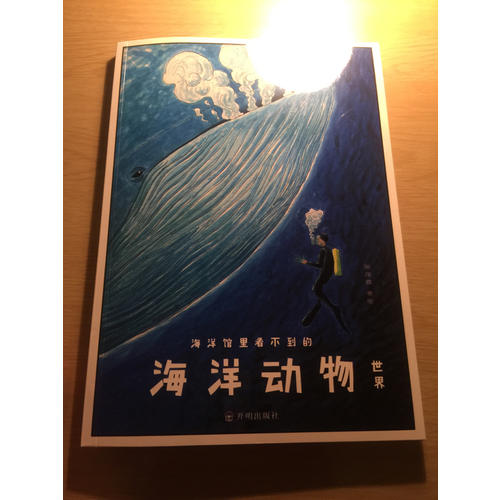海洋馆里看不到的：海洋动物世界