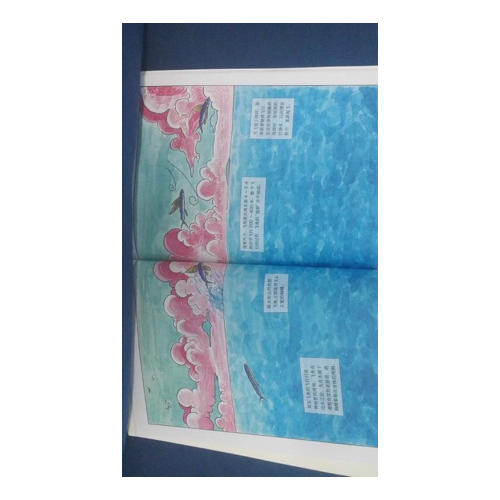 海洋馆里看不到的：海洋动物世界