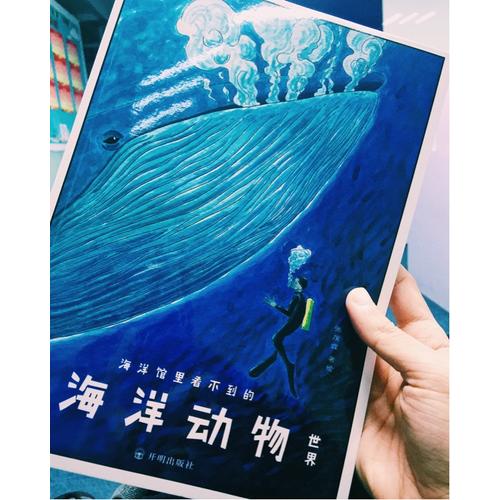 海洋馆里看不到的：海洋动物世界