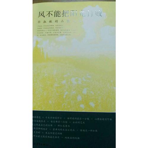 风不能把阳光打败