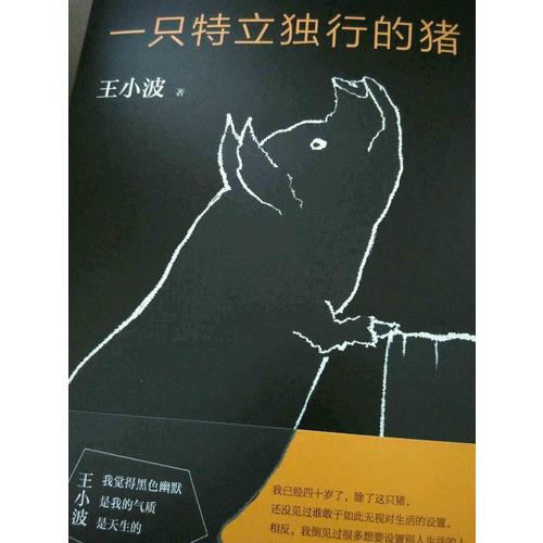 一只特立独行的猪