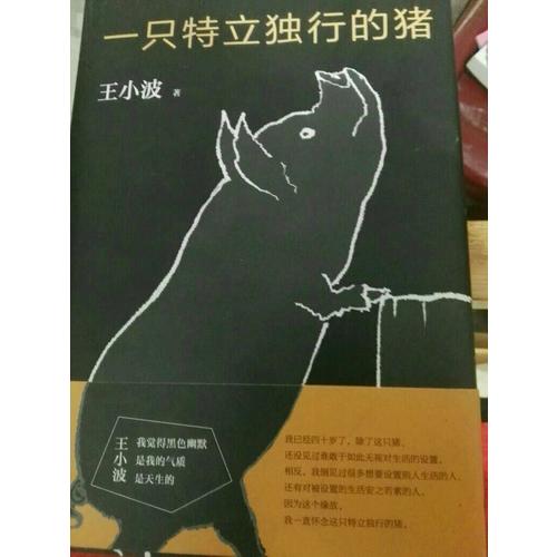 一只特立独行的猪