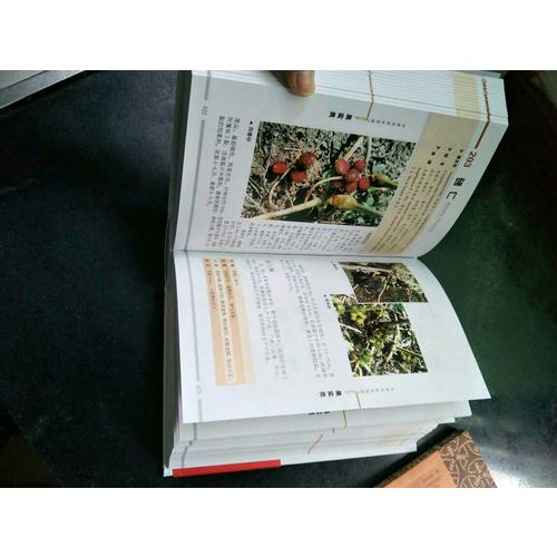 中草药彩色图谱（第四版）