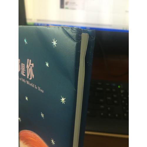 我的世界都是你（精装）